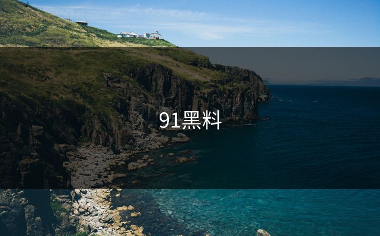 91黑料