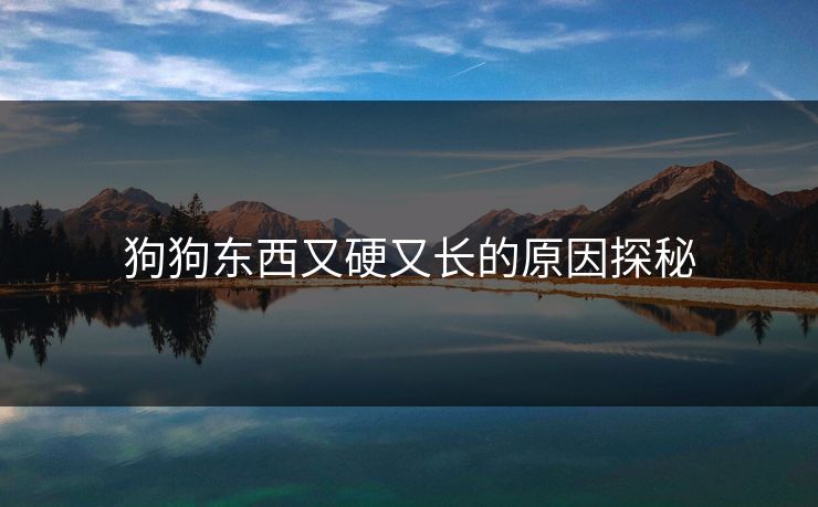 狗狗东西又硬又长的原因探秘 狗狗东西又硬又长的原因探秘